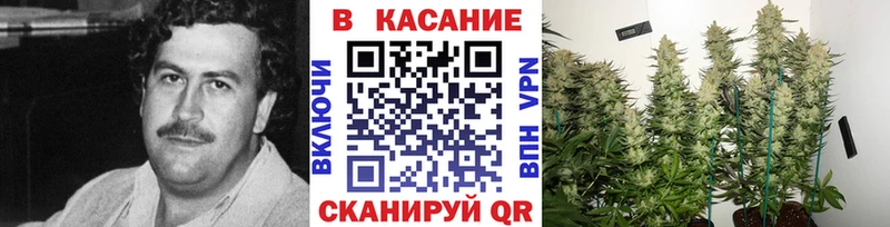 Виды наркотиков купить Жиздра АМФЕТАМИН  Мефедрон  ГАШИШ 