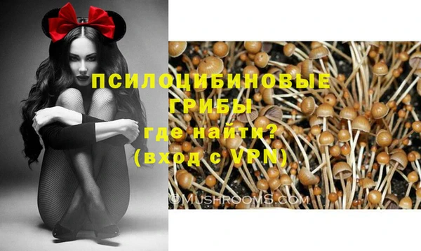 меф Медвежьегорск